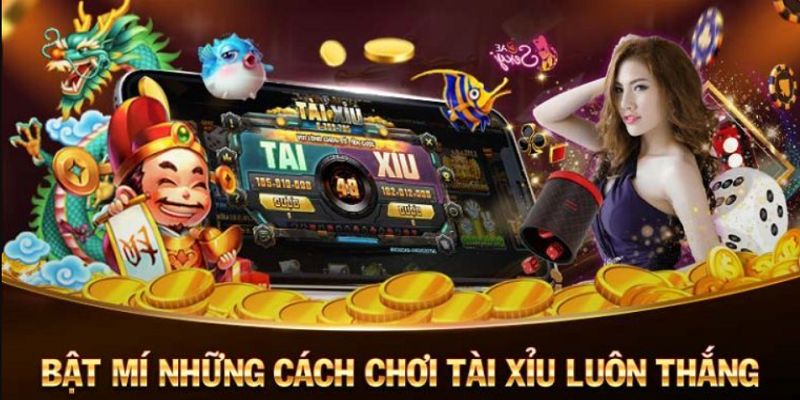 Cách chơi tài xỉu luôn thắng phải nắm rõ luật đặt cược